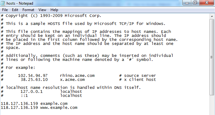 access-website-via-server-ip-address-before-switching-dns-codexworld